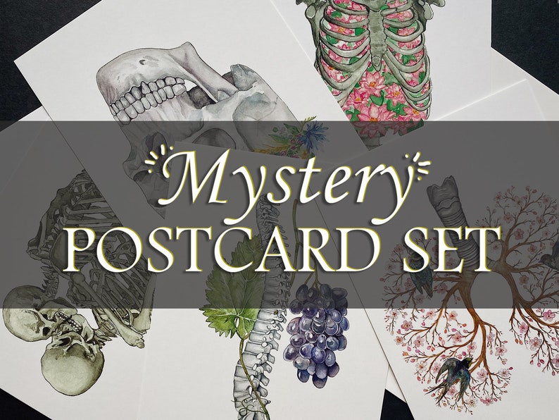 Mystery Anatomy Postcard Set: Anatomical Magic Grab Box, Surprise Human Skeleton Bundle, Floral Watercolor Unique Valentines Day Gift image 1