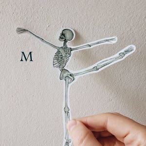 May include: A white sticker of a skeleton in a ballet pose. The skeleton is in a neutral color with gray and black details. The sticker is on a white wall with the letter "M" written in black below it.