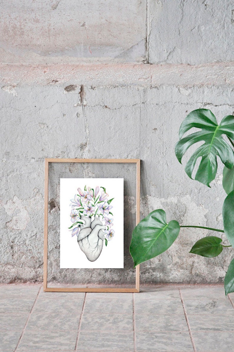 May include: A framed print of a watercolor illustration of a human heart with white flowers growing out of it.