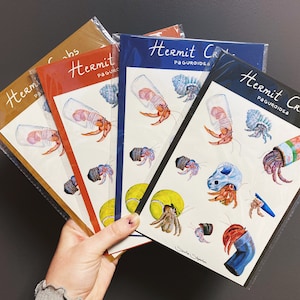 Feuille d'autocollants bernard l'ermite, lot d'autocollants écologiques A5, déchets de carapace de crabe, cadeau pour amateur d'art de la nature, créatures marines, illustration scientifique