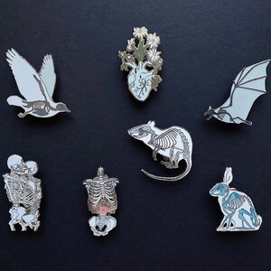 Puede incluir: Un conjunto de 8 pines de esmalte que representan esqueletos anat&oacute;micos de varios animales, incluyendo un p&aacute;jaro, un murci&eacute;lago, una rata, un conejo y figuras humanas. Los pines son blancos con contornos negros y algunos tienen sutiles acentos de color.