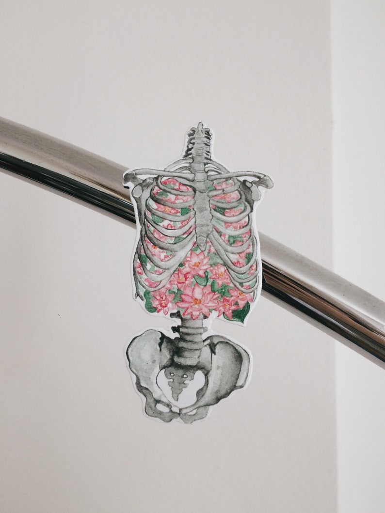 Aimant de réfrigérateur danatomie humaine Cadeau de fleur dHalloween de cage de côte Skeleton Floral Oddity Curiosity Magnet Insolite Strange Unique Fantasy Cute image 1