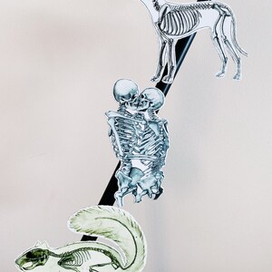 May include: Three skeletal animal illustrations: a dog, a squirrel, and two skeletons embracing. The illustrations are printed on white paper and are attached to a black cord.