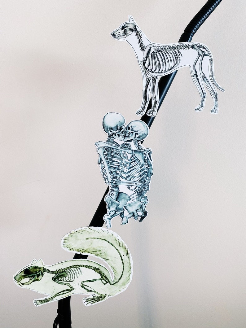 May include: Three skeletal animal illustrations: a dog, a squirrel, and two skeletons embracing. The illustrations are printed on white paper and are attached to a black cord.