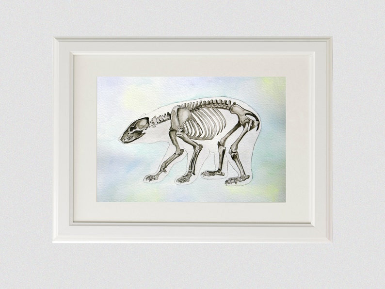 May include: A watercolor illustration of a bear skeleton on a light blue background with hints of yellow and green.