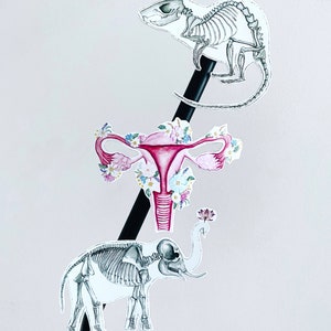 May include: Three anatomical illustrations on a black background. The top illustration is a skeletal rat, the middle illustration is a uterus with flowers, and the bottom illustration is a skeletal elephant.