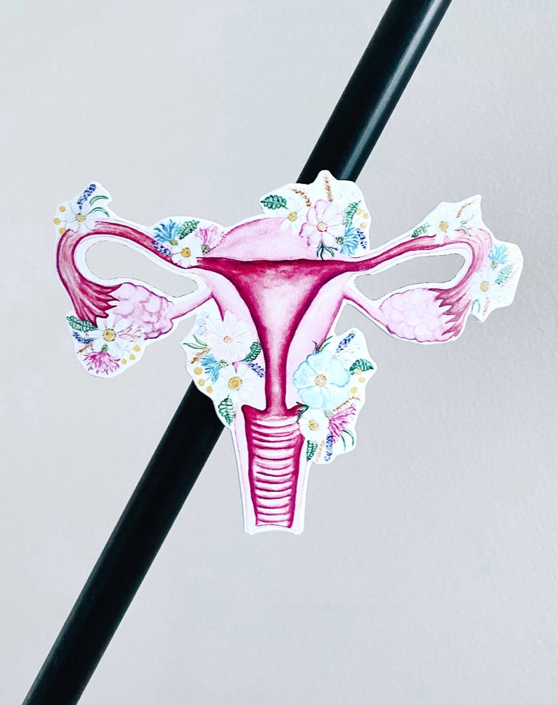 May include: A pink and red watercolor illustration of a uterus, fallopian tubes, and ovaries, adorned with floral accents in shades of white, blue, and purple. The image is set against a light gray background.