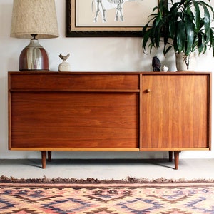 May include: A mid-century modern wooden cabinet with a drawer and a door. The cabinet is on a patterned rug and has a lamp and a framed print of a skeleton elephant above it.