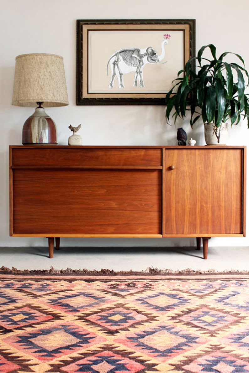 May include: A mid-century modern wooden cabinet with a drawer and a door. The cabinet is on a patterned rug and has a lamp and a framed print of a skeleton elephant above it.