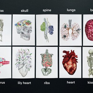 May include: A set of 10 watercolor illustrations featuring anatomical and floral imagery. The illustrations include a skull, spine, lungs, brain, heart, uterus, ribs, a lily heart, and two skeletons kissing.