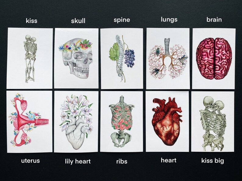 May include: A set of 10 watercolor illustrations featuring anatomical and floral imagery. The illustrations include a skull, spine, lungs, brain, heart, uterus, ribs, a lily heart, and two skeletons kissing.