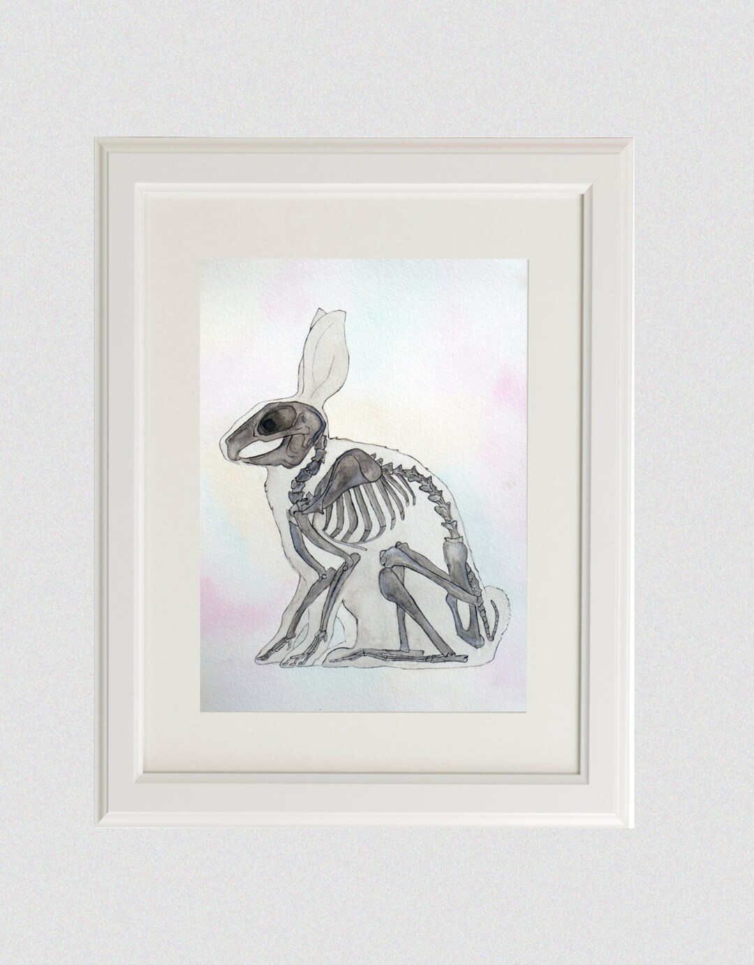 Vet Gift | Rabbit Art | Animal Painting | Watercolour | Bunny | Anatomy ...