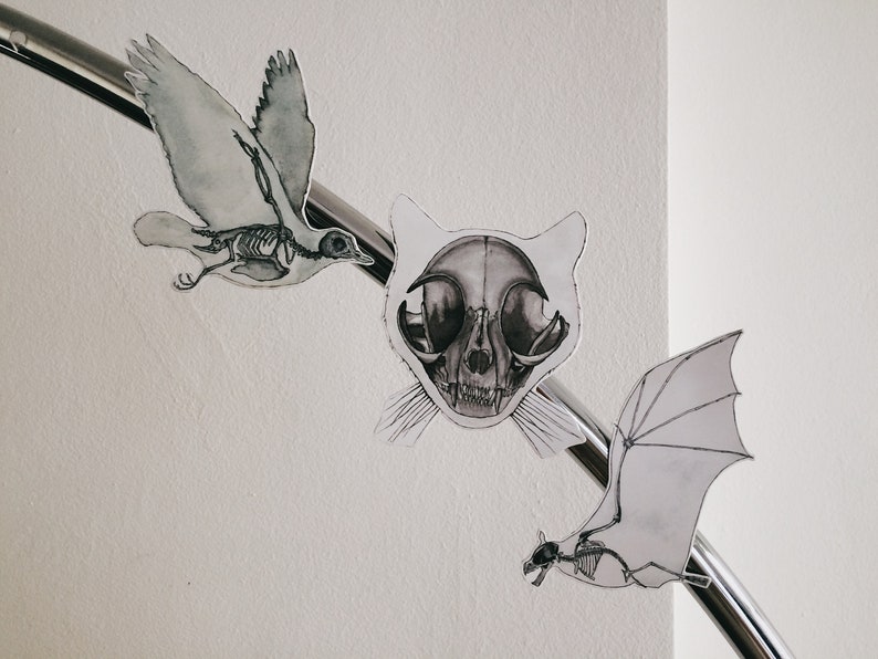 May include: Three paper cutouts of animal skeletons: a bird, a cat, and a bat. The bird is in flight, the cat is facing forward, and the bat is in flight with its wings spread. The cutouts are all in black and white and are attached to a silver metal rod.