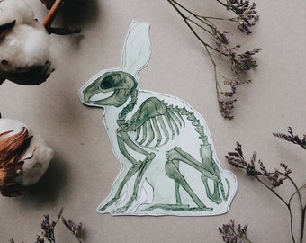 Rabbit Skeleton Sticker: Easter Bunny Anatomy White or Transparent Vinyl