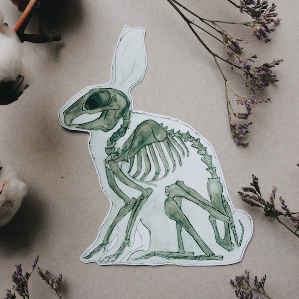 Rabbit Skeleton Sticker: Easter Bunny Anatomy White or Transparent Vinyl