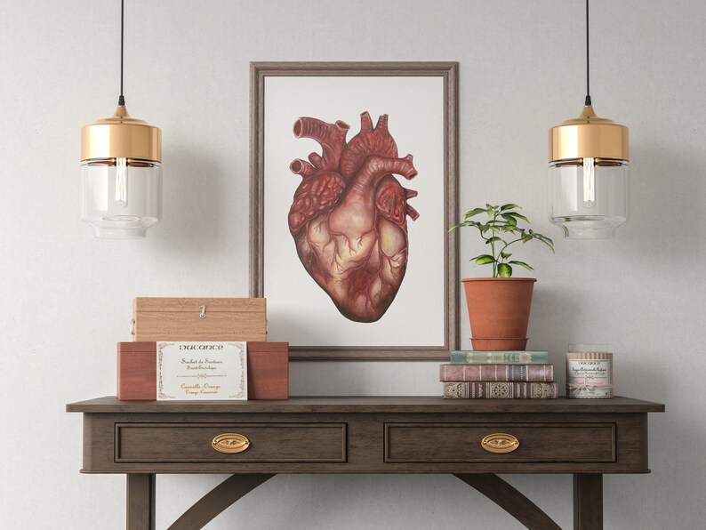 Human Heart Anatomy Print: Anatomical Poster, Watercolor Art, Unique Doctor Gift Artwork, Oddity Curiocity Creepy Goth image 5