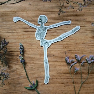 Sticker squelette ballerine : cadeau pour amateur de danse classique, anatomie de danseuse en vinyle blanc ou transparent