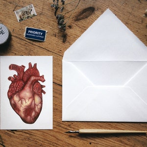 Anatomical Human Heart Postcard: Illustrated Anatomy Art, Unique Watercolor Medical Card Gift, Small Print image 3
