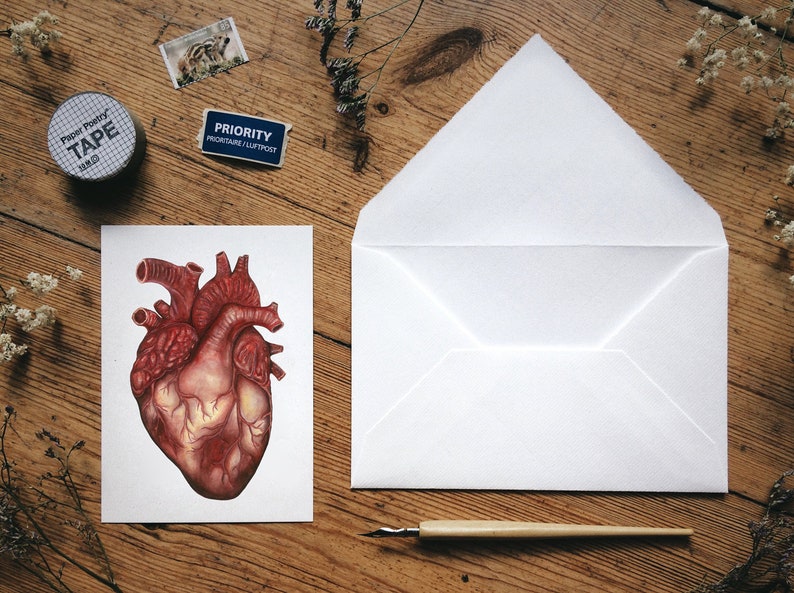 Anatomical Human Heart Postcard: Illustrated Anatomy Art, Unique Watercolor Medical Card Gift, Small Print image 3