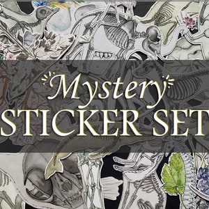 Misterio Anatomía Sticker Set: Anatomical Magic Grab Box, Surprise Animal Human Skeleton Unique Vet Doctor Gift Present