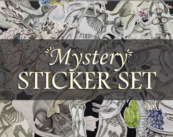 Mystery Anatomy Sticker Set: Anatomical Magic Grab Box, Surprise Animal Human Skeleton Unique Vet Doctor Gift Present