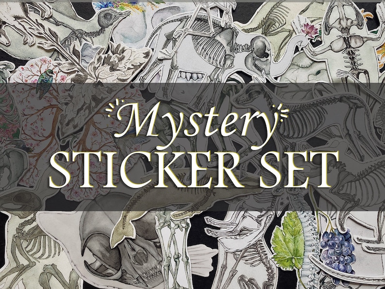 May include: A set of mystery stickers featuring various anatomical illustrations of animals, plants, and other natural elements. The stickers are printed on white paper and have a black and white color scheme. The stickers are arranged in a random pattern on a black background. The text "Mystery Sticker Set" is written in a decorative font on a gray banner.