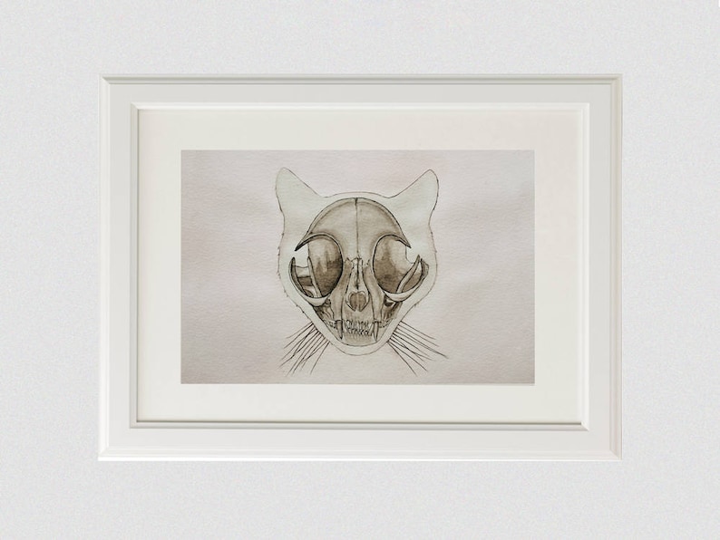 Original Cat Skull Watercolor Painting: Kitty Skeleton Anatomy Artwork image 1