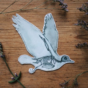 May include: A watercolor illustration of a bird skeleton with its wings spread, on a wooden background with lavender sprigs.
