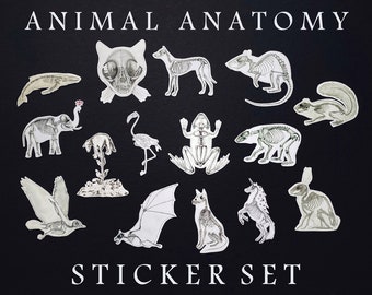 May include: A sticker set featuring 12 different animal skeletons, including a whale, elephant, flamingo, frog, bear, squirrel, cat, bat, unicorn, rabbit, and two birds. The stickers are printed on white paper and have a black background. The text "ANIMAL ANATOMY STICKER SET" is printed at the top and bottom of the image.