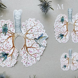 May include: Three watercolor illustrations of lungs with branches of a tree and birds. The illustrations are labeled L, M, and S, indicating different sizes.