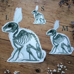 May include: Three different sizes of rabbit skeleton illustrations, labeled 'L', 'M', and 'S'. The illustrations are printed on white paper and have a watercolor-like effect.