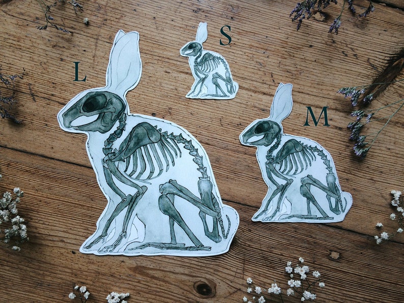 May include: Three different sizes of rabbit skeleton illustrations, labeled 'L', 'M', and 'S'. The illustrations are printed on white paper and have a watercolor-like effect.
