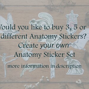 May include: A set of anatomical stickers featuring various animal skeletons, including a bird, bat, and rabbit. The text on the image reads "Would you like to buy 3, 5 or 7 different Anatomy Stickers? Create your own Anatomy Sticker Set more information in description."