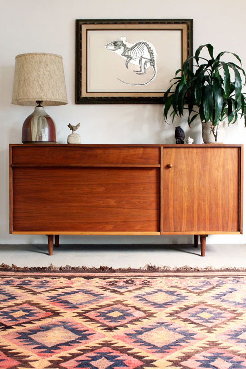 May include: A mid-century modern wooden cabinet with a drawer and a door. The cabinet is sitting on a patterned rug. A framed print of a rat skeleton is hanging on the wall above the cabinet.