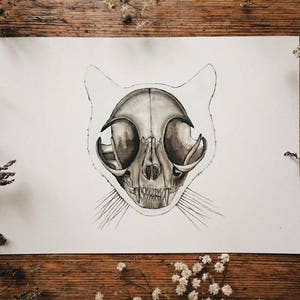 Cat Skull Print: Animal Skeleton, Anatomical Wall Art, Veterinarian Poster image 4