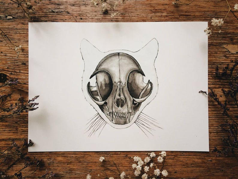 Cat Skull Print: Animal Skeleton, Anatomical Wall Art, Veterinarian Poster image 4