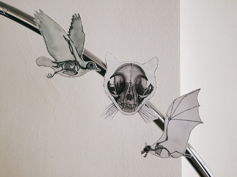 May include: Three paper cutouts of animal skeletons: a bird, a cat, and a bat. The bird is in flight, the cat is facing forward, and the bat is flying with its wings spread. All three are drawn in black and white.