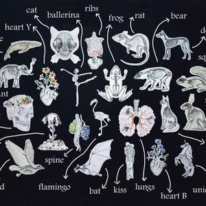 Whale Skeleton Sticker: Sea Animal Anatomy Art White and Transparent Vinyl image 9