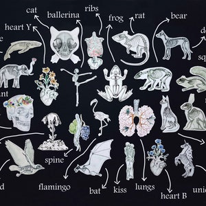 Pode incluir: Uma ilustra&ccedil;&atilde;o em preto e branco de v&aacute;rios esqueletos de animais, incluindo uma baleia, um gato, um sapo, um rato, um urso, um c&atilde;o, um esquilo, um elefante, um cr&acirc;nio, um coelho, um cordeiro, um p&aacute;ssaro, um flamingo, um morcego e um unic&oacute;rnio. A ilustra&ccedil;&atilde;o tamb&eacute;m inclui partes anat&ocirc;micas como as costelas, o cora&ccedil;&atilde;o, a coluna vertebral, os pulm&otilde;es e o beijo.