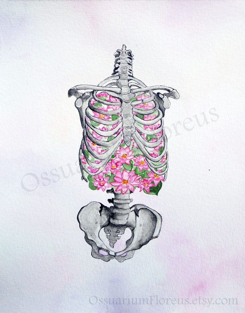 Rib Cage Anatomy Painting | Christmas Fairytale Gift Lung Skeleton ...