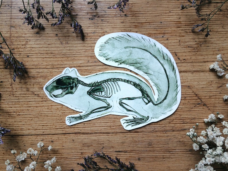 K&ouml;nnte beinhalten: Ein Aquarell-Aufkleber eines Eichh&ouml;rnchen-Skeletts in Gr&uuml;n- und Wei&szlig;t&ouml;nen. Der Aufkleber, in Form eines Eichh&ouml;rnchens ausgeschnitten, liegt auf einer Holzoberfl&auml;che, umgeben von getrockneten Blumen.