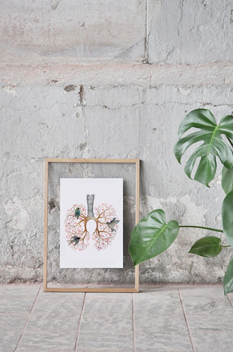 May include: A framed print of a watercolor illustration of a human lung with a tree growing from it. The tree has pink flowers and there are birds perched on the branches.