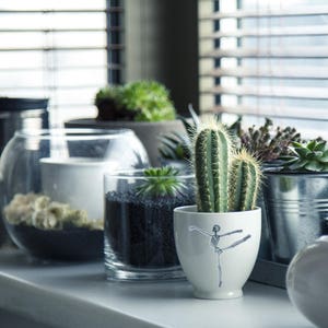 May include: A collection of potted plants on a windowsill. The plants include succulents, cacti, and a fern. The pots are made of various materials, including glass, ceramic, and metal. The windowsill is white and has a wood grain texture.