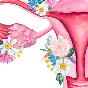 May include: A watercolor illustration of a female reproductive system with flowers surrounding it. The flowers are in shades of pink, white, blue, and yellow.