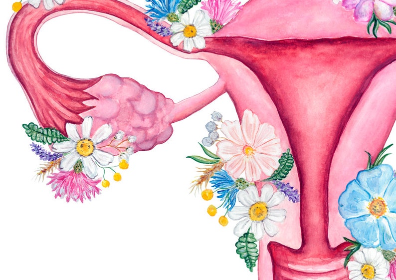 May include: A watercolor illustration of a female reproductive system with flowers surrounding it. The flowers are in shades of pink, white, blue, and yellow.