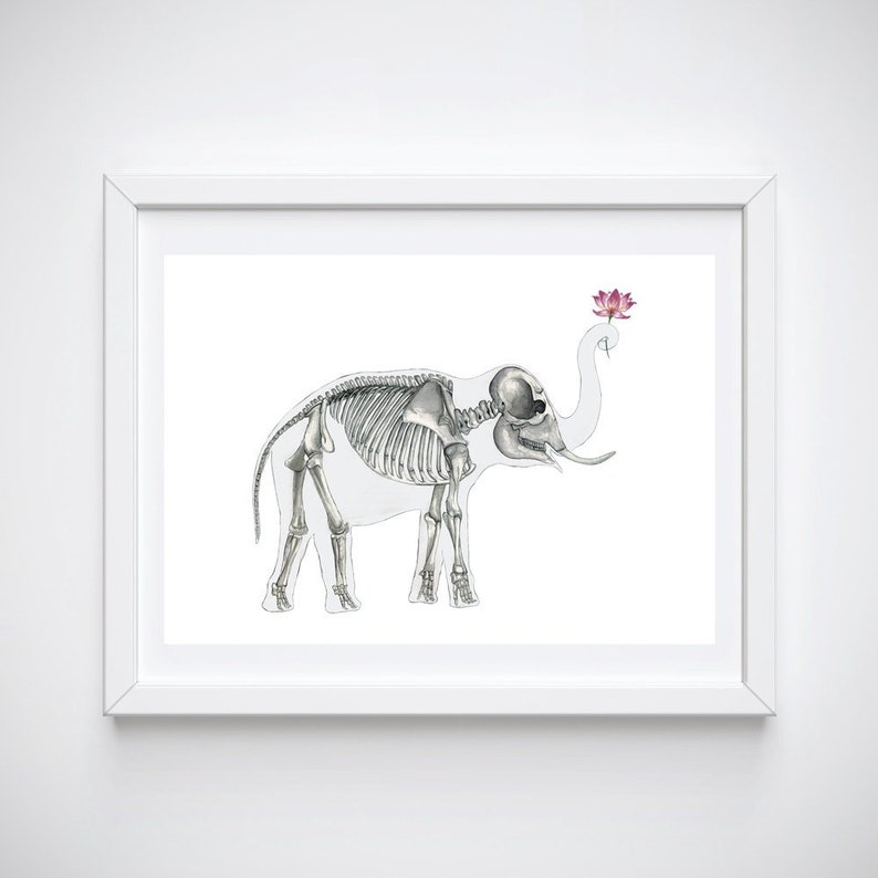 May include: A white framed print of a skeletal elephant with a pink lotus flower in its trunk.