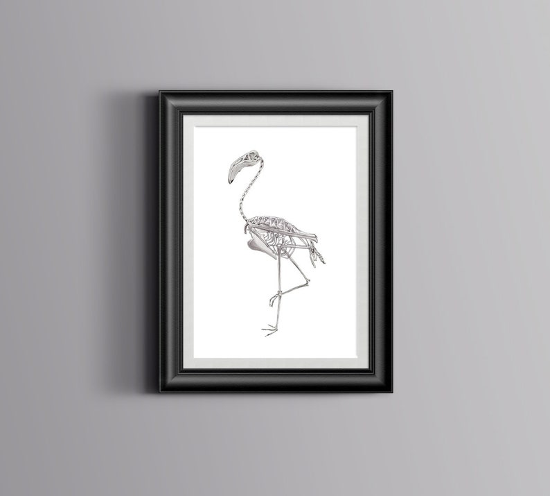 May include: A black and white illustration of a flamingo skeleton in a black frame.