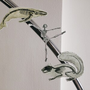 May include: Watercolor illustrations of animal skeletons, including a whale, a ballerina, and a squirrel. The images are in grayscale and appear to be cut out and placed on a diagonal metal bar against a white background.