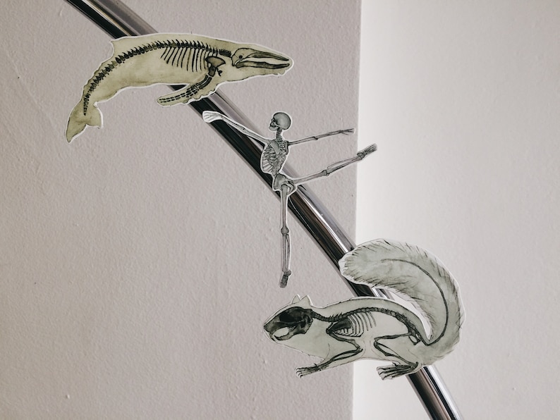 May include: Watercolor illustrations of animal skeletons, including a whale, a ballerina, and a squirrel. The images are in grayscale and appear to be cut out and placed on a diagonal metal bar against a white background.