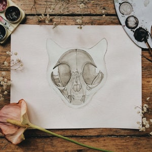 May include: A watercolor painting of a cat skull on a white background. The skull is drawn in shades of gray and brown, with details of the teeth and eye sockets visible. The painting is surrounded by white flowers and a wooden surface.
